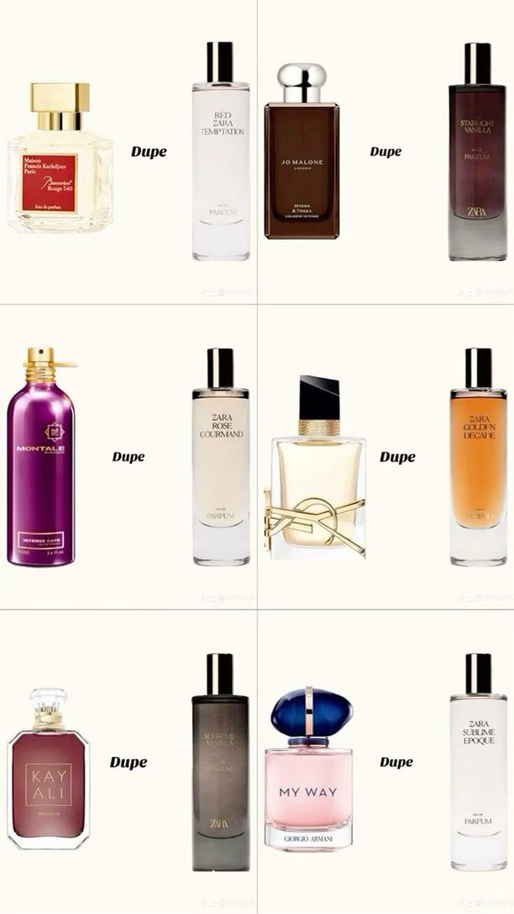 Guide visuel des notes de parfum et familles olfactives